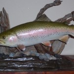 Rainbow trout ( fish replicas...pedestal mount)
