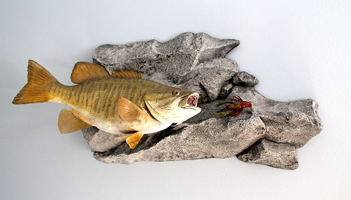 Anglers Arts Rock Wall Panel Fish Mount is an impressive way to display your latest catch.